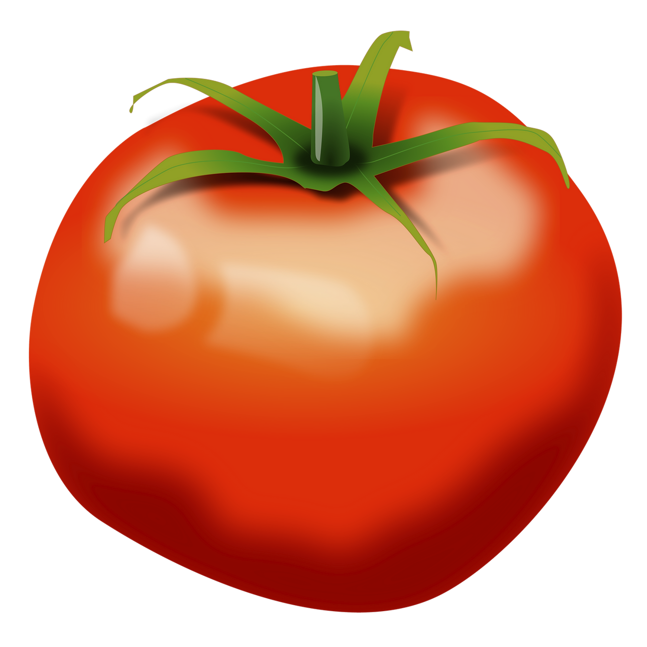 Tomato png sticker food illustration