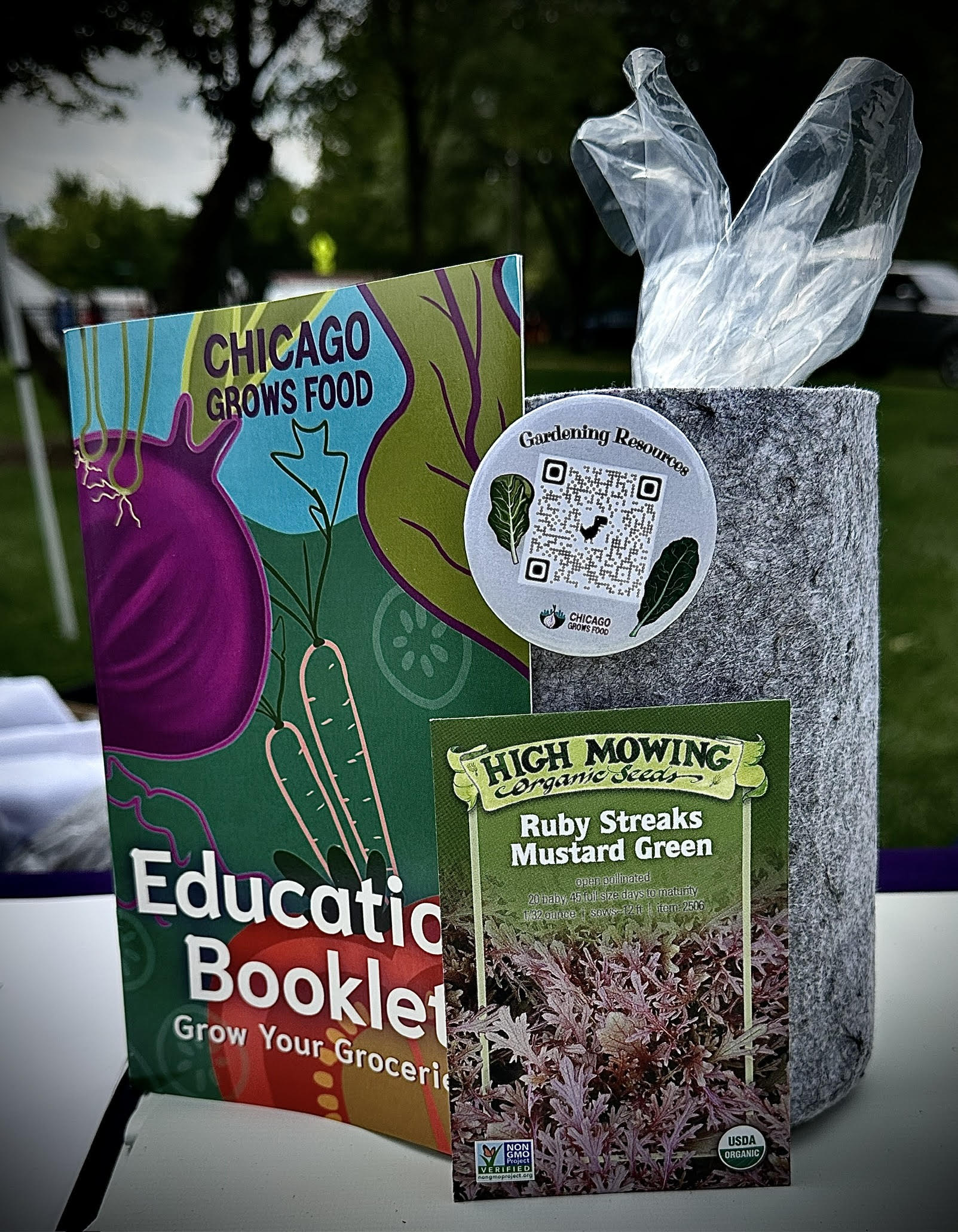 Ways you can help Chicago Grows Food fight food insecurity - Chicago ...
